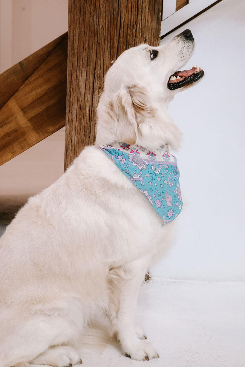 Bond co dog bandana hotsell